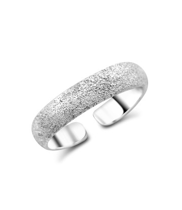 Modern Style Silver Toe Ring CTR-R04-02